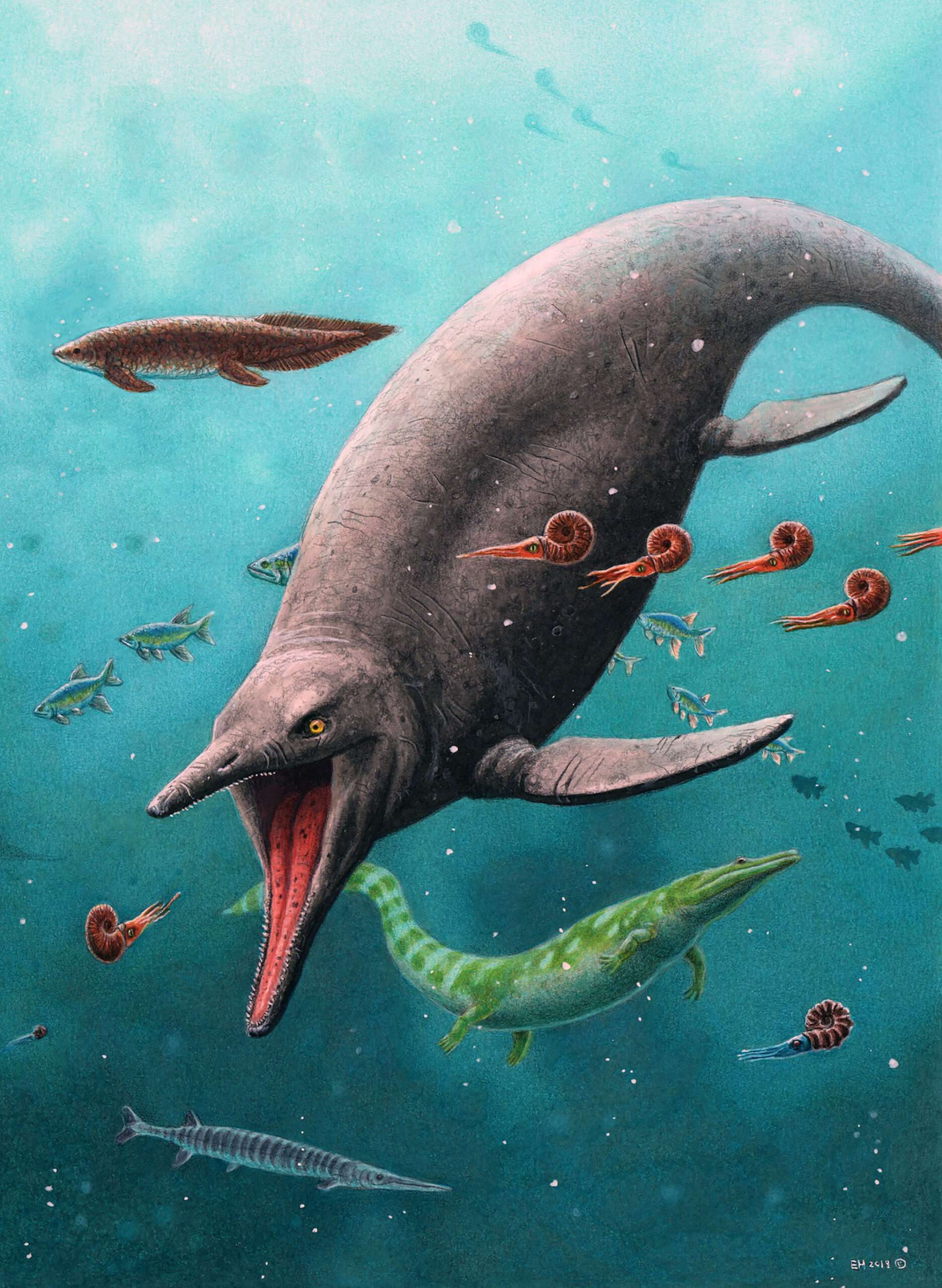 Read more about the article Oldest Sea Reptile Found On Arctic Island Mountain
