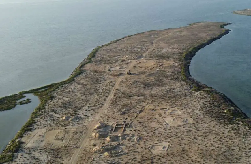  Scientists Discover Gulf’s Oldest Known Pearl Diving Town