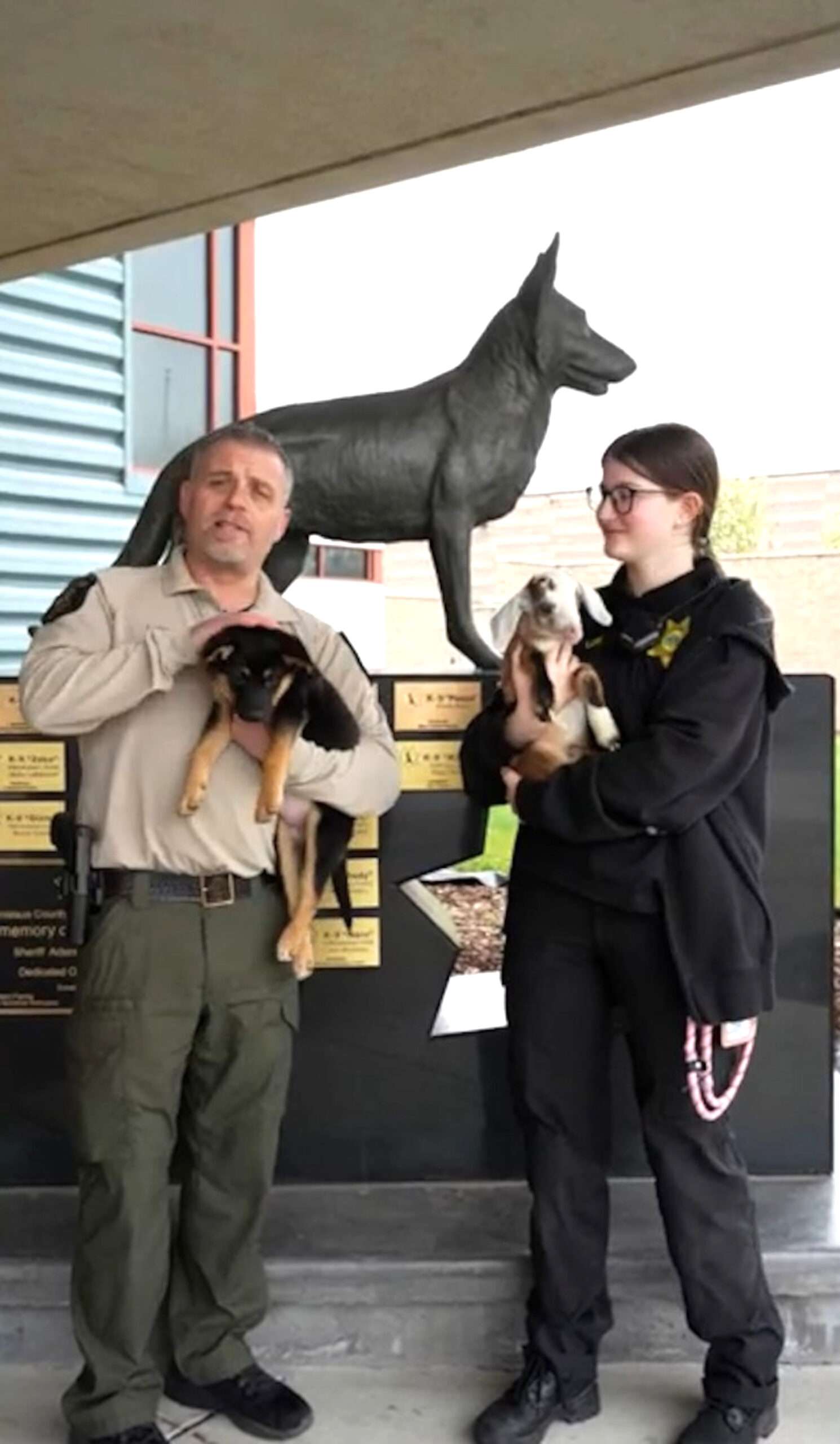 Read more about the article Deputy Given Baby Goat Instead Of K9 As Part Of April Fool’s Joke