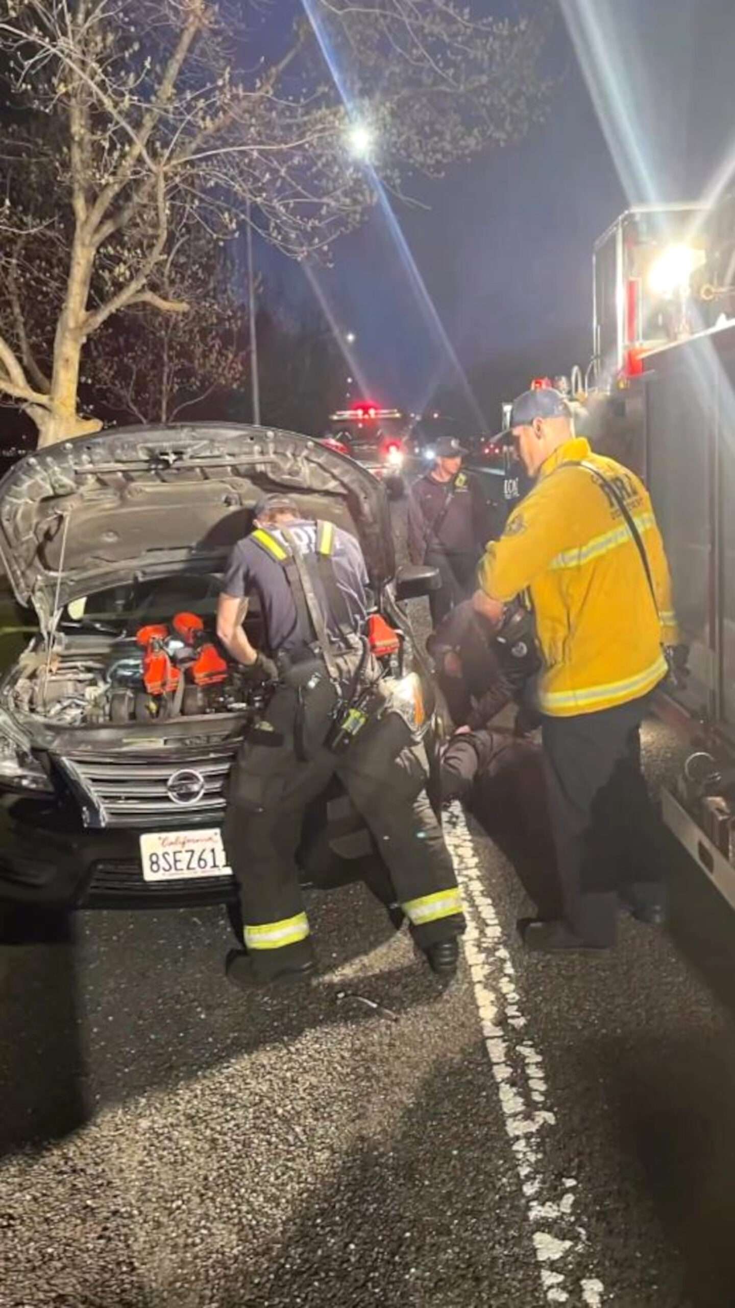 Read more about the article  Firefighters Save Terrified Pup Trapped Inside A Couple’s Car Engine