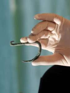 Read more about the article  6,000-Year-Old Fishhook Was Used To Catch Sharks