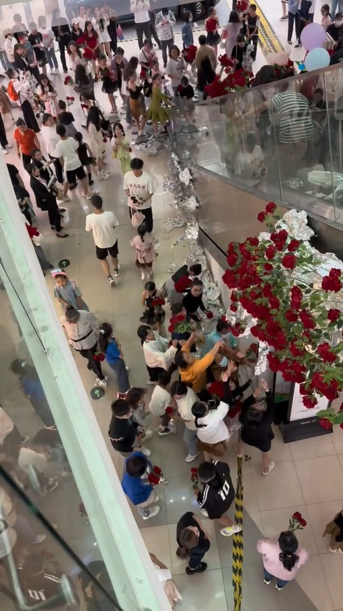 Read more about the article  Greedy Shoppers Rip Huge Rose Display To Pieces