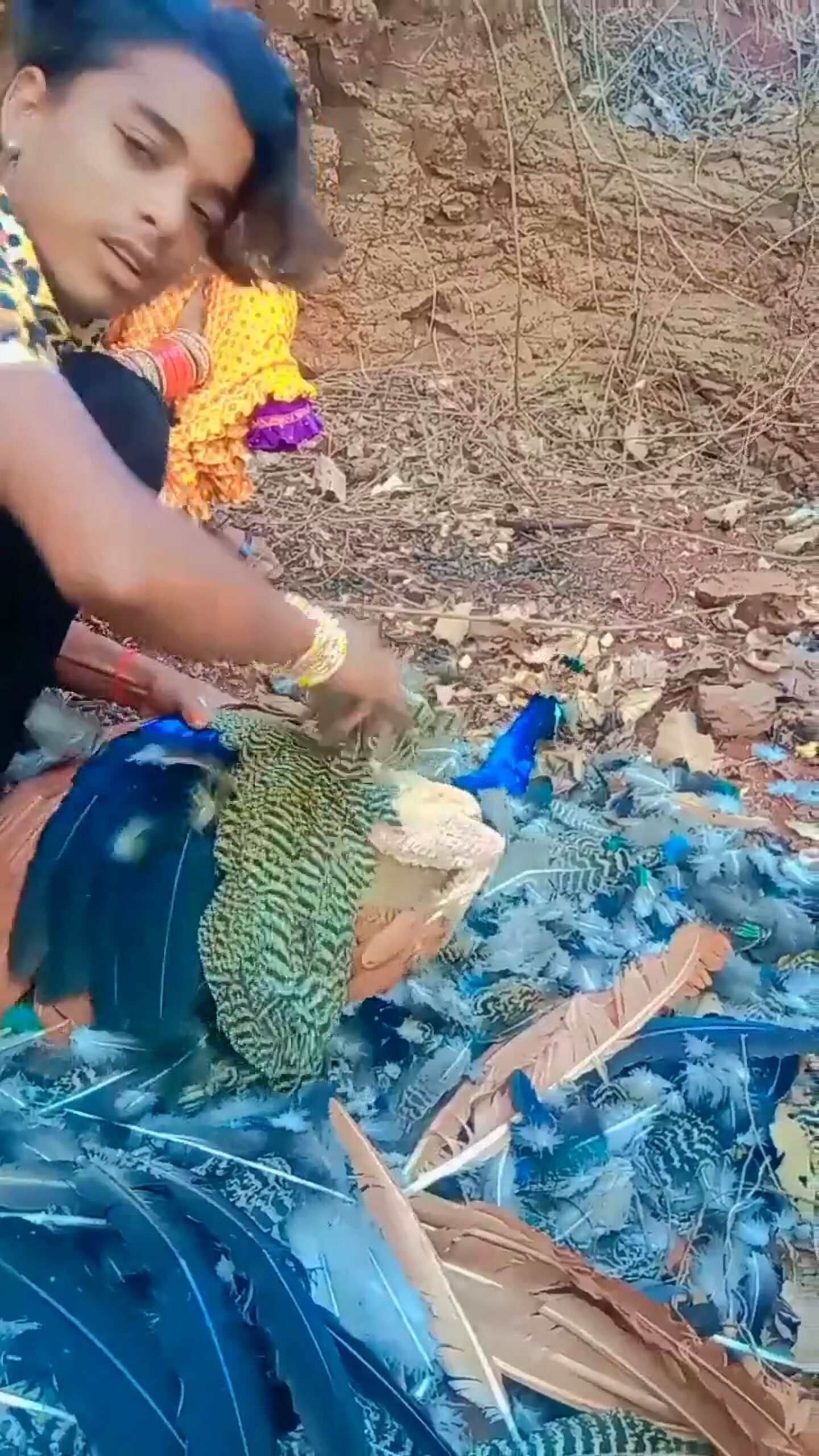 Read more about the article Cops Hunt Cruel Man Who Pulled Out Peacock’s Feathers