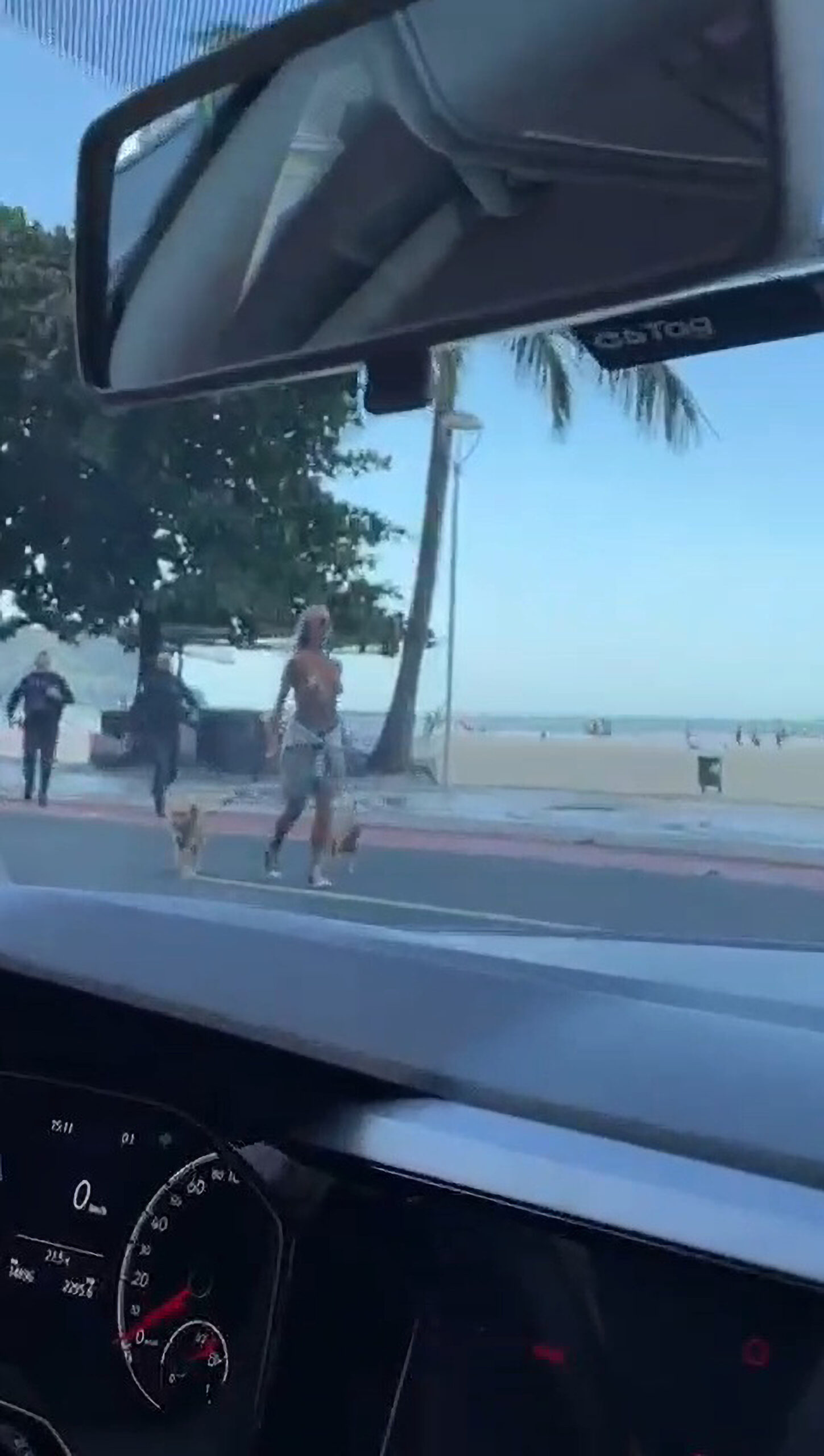 Read more about the article Cops Arrest Blonde Who Walked Dogs Down Road Topless