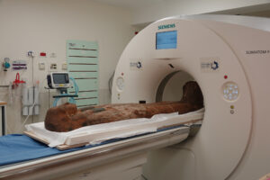 Read more about the article Hospital CT Scans Reveal Secrets Of Ancient Mummy Caskets