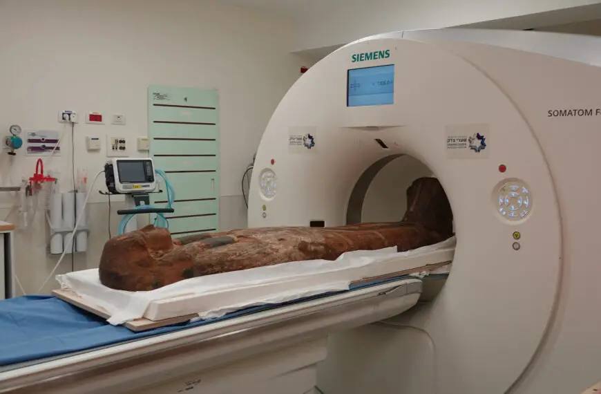 Hospital CT Scans Reveal Secrets Of Ancient Mummy Caskets