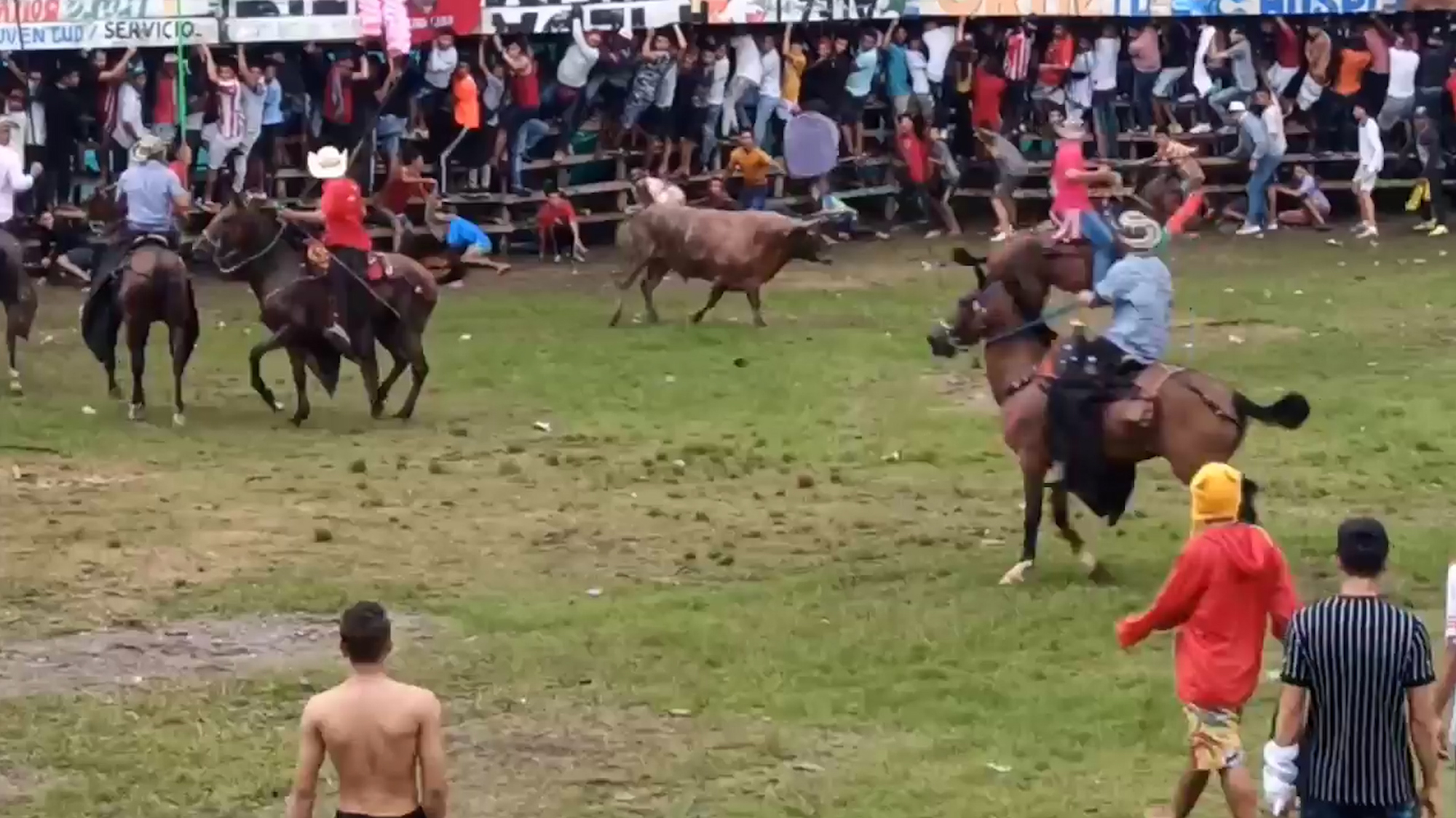 Read more about the article Moment Wannabe Bull Fighter Gored To Death