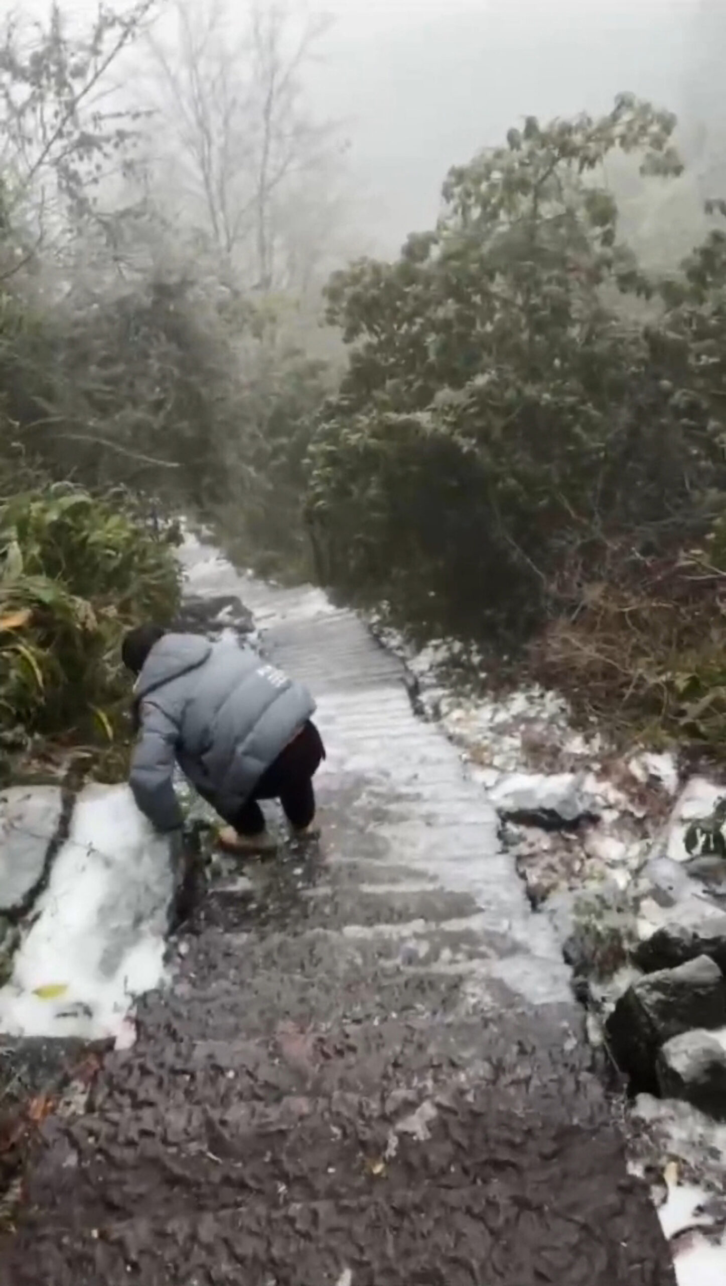 Read more about the article Hiker Slips And Slides Down Icy Stairs While Climbing Down Mountain