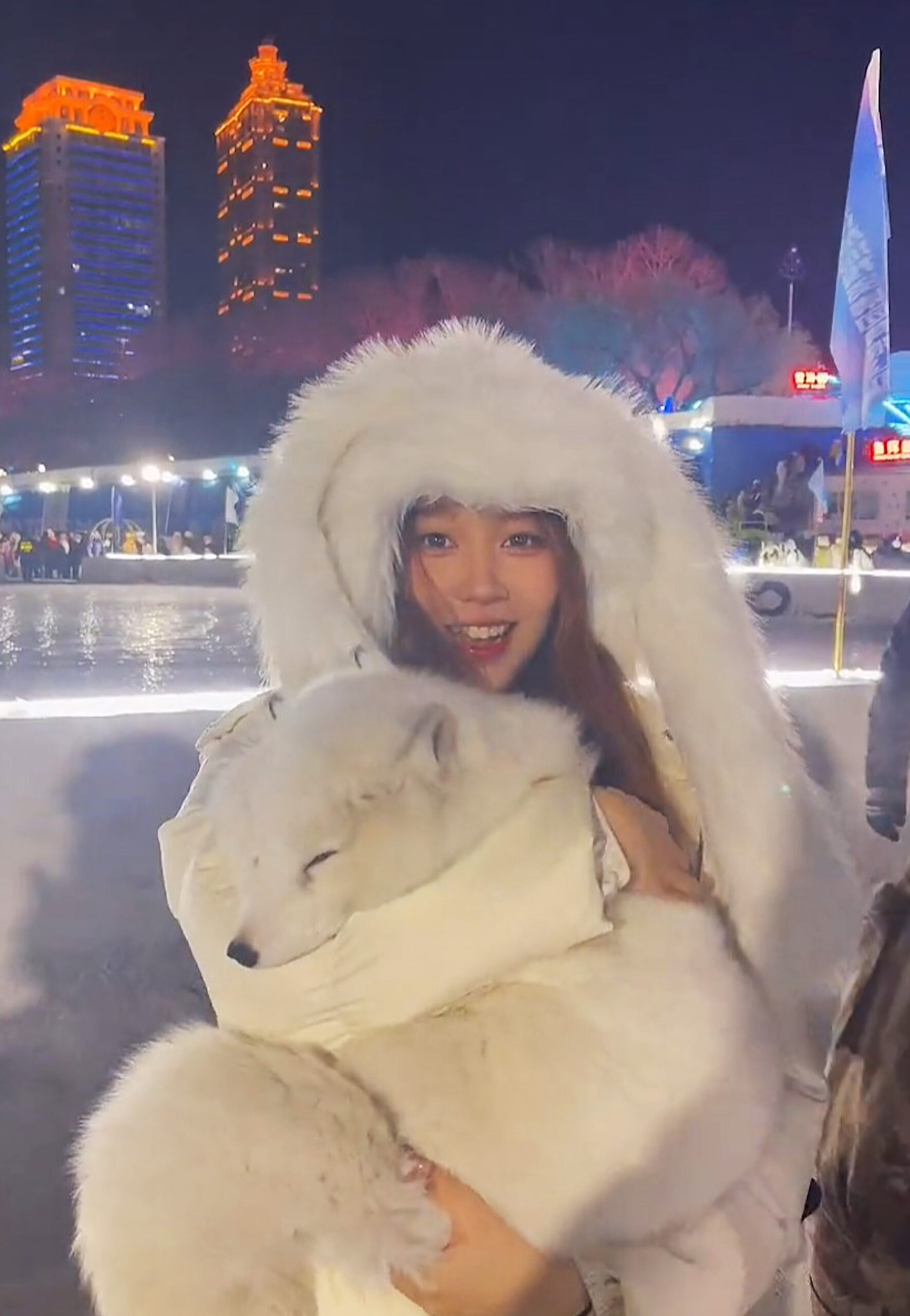 Read more about the article Terrified Arctic Foxes Cuddled By Tourists For Pictures At Tourist Spot
