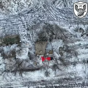 Read more about the article Ukrainian Drones Drop Bombs On Camouflaged Russian Positions And Cause Enemy Troops To Flee