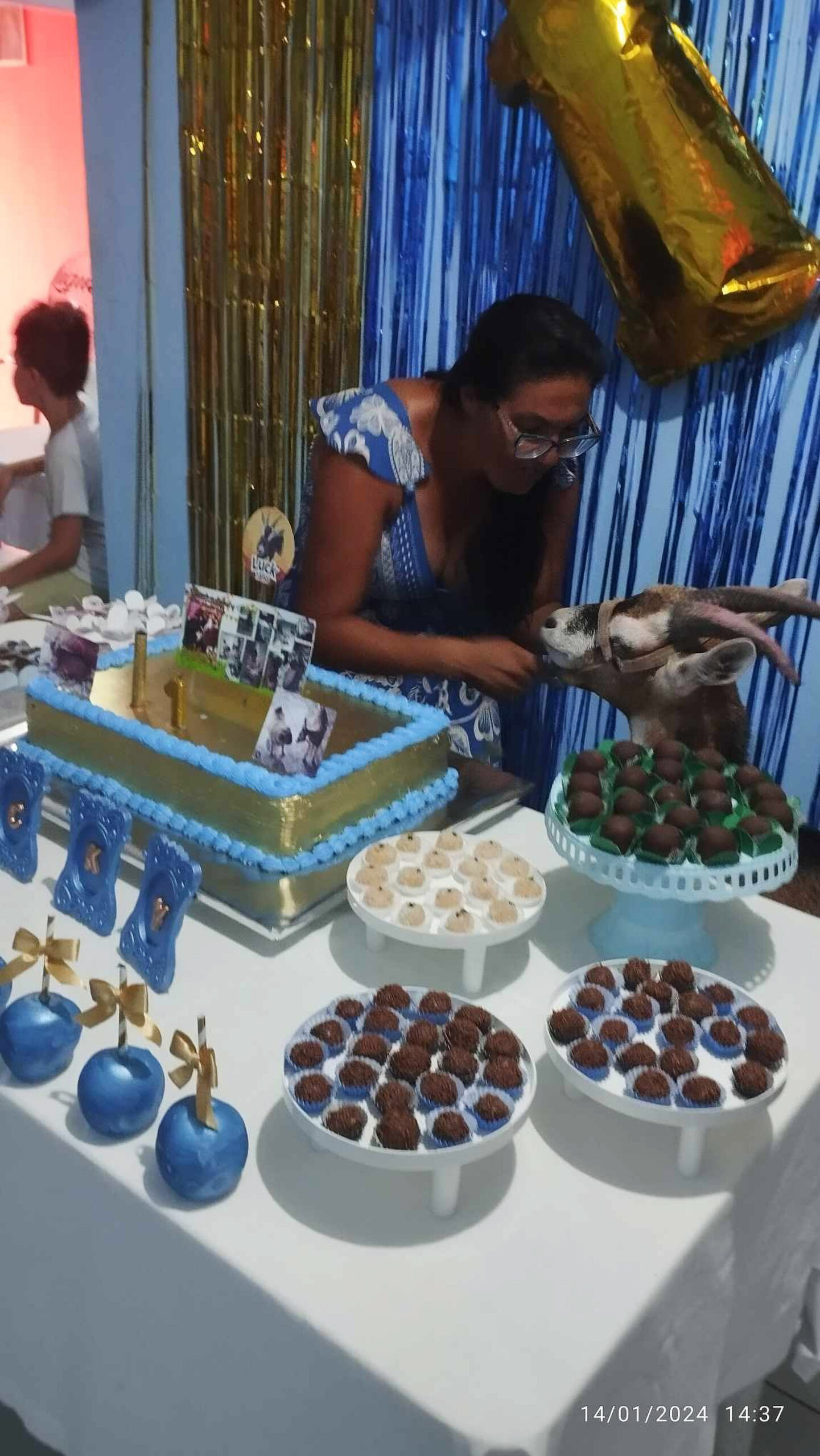Read more about the article Woman Lights Firework Candle On Birthday Cake For Goat