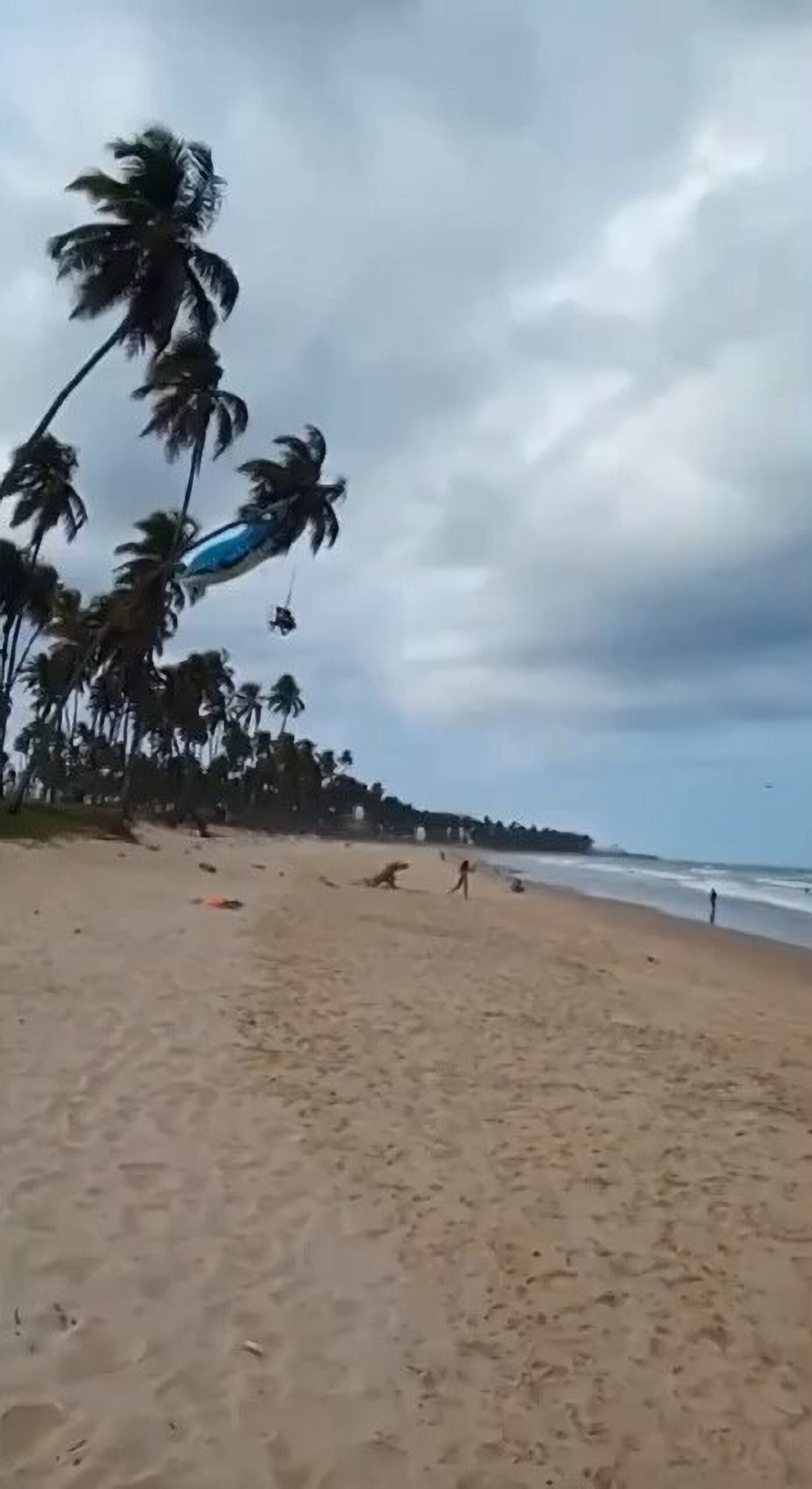 Read more about the article Motorised Paraglider Rescued After Crashing Into Coconut Tree