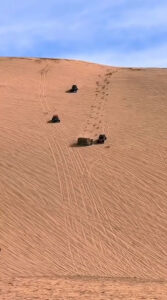 Read more about the article Drivers Risk Lives To Stop Rolling Off-Road Vehicle From Crashing Down Desert Sand Dune