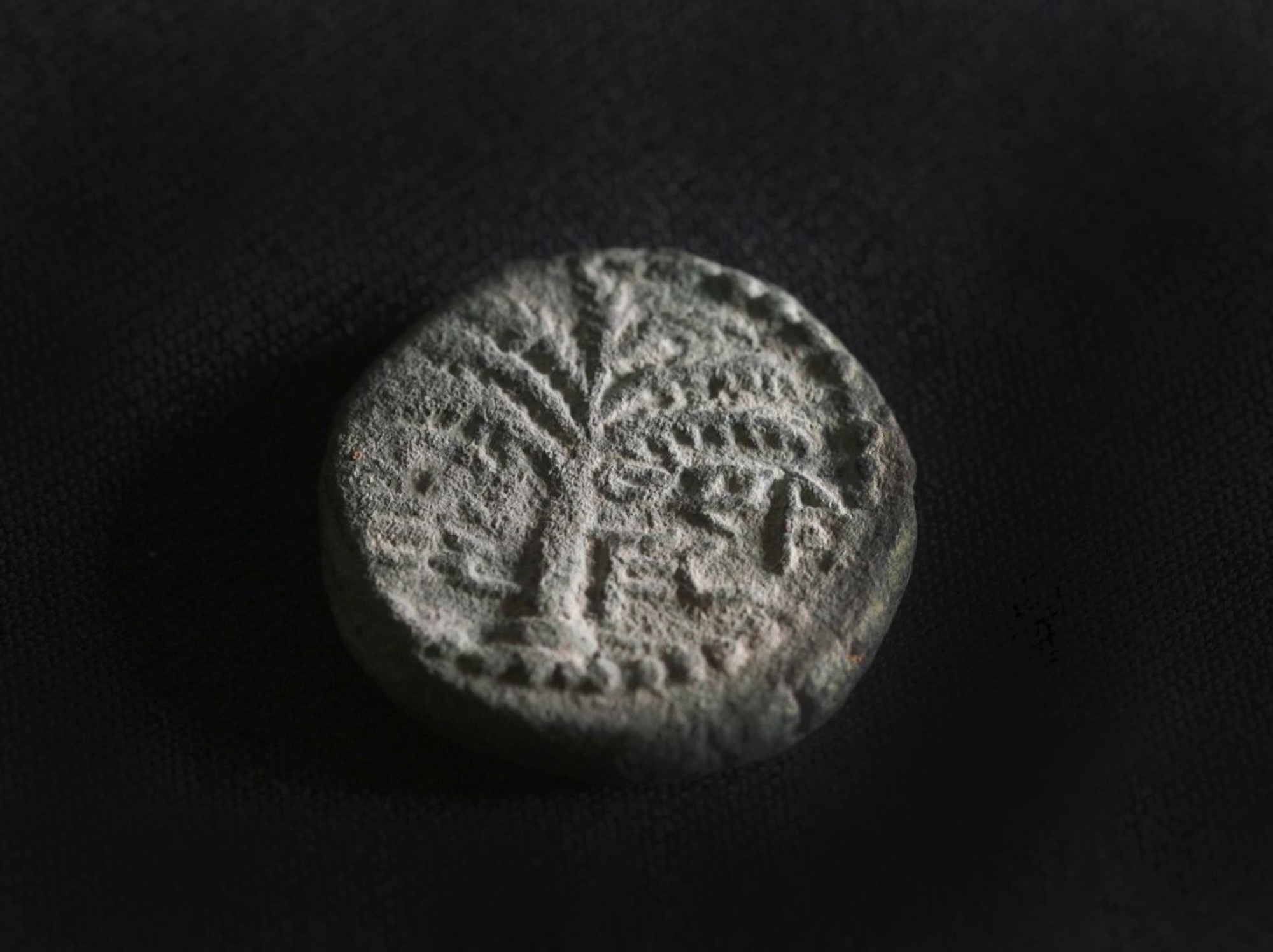 Read more about the article Rare Coin From 2,000-Year-Old Jewish Revolt Against Romans Discovered In Judean Desert