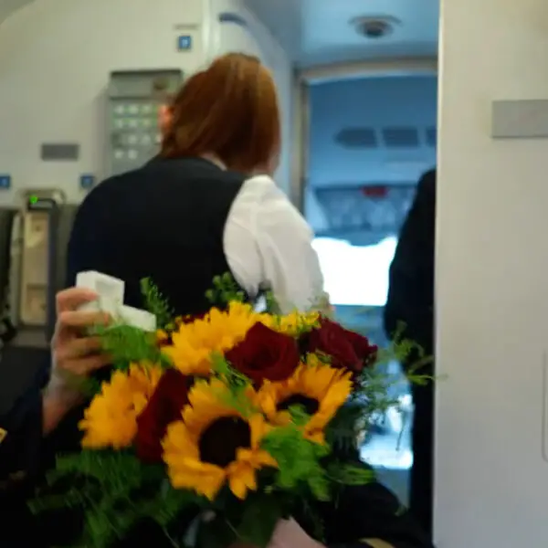 Romantic Moment Pilot Proposes To Stewardess As Passengers Clap And Cheer